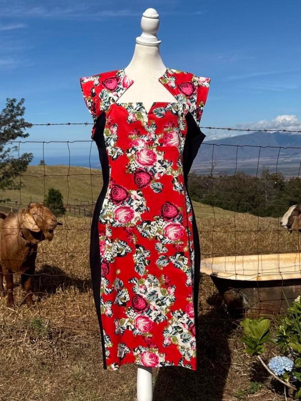 NWT The Pretty Dress Company Retro rockabilly Twee tapestry Rose Dress  Size 18